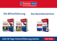 banner-gp-hund-senior-zm-hund